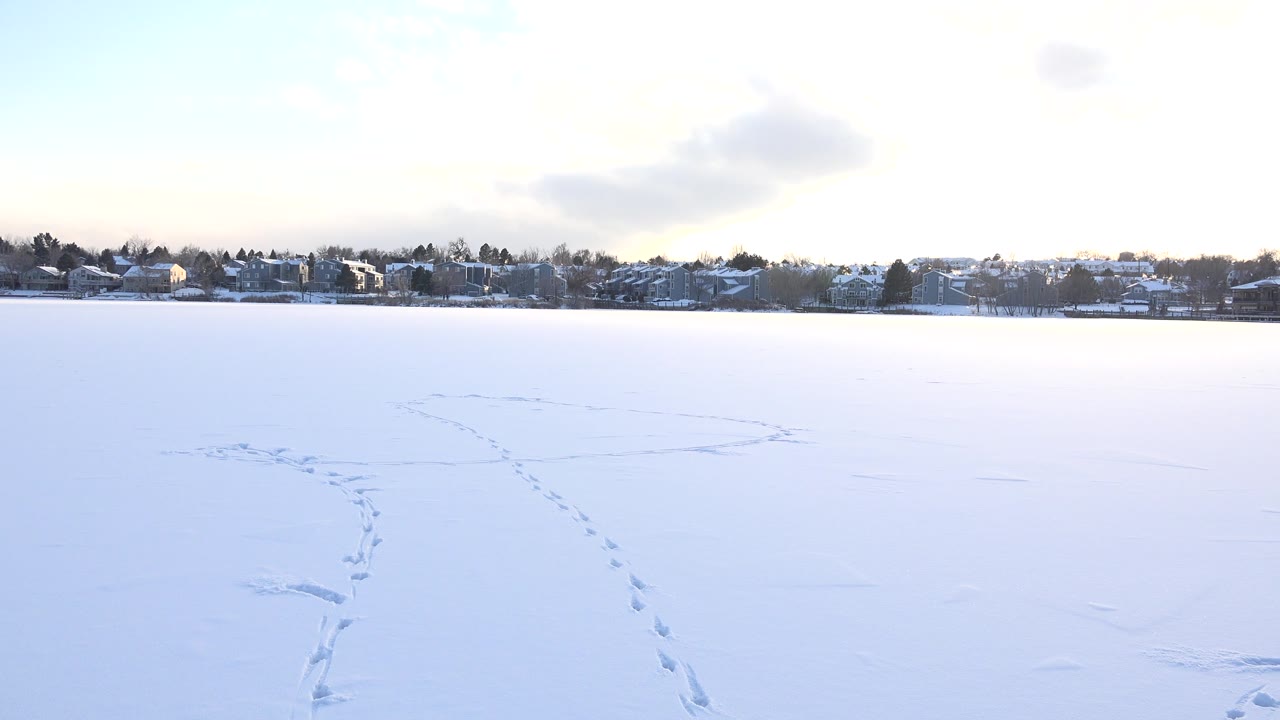 Footprints crossing a snowy field toward distant homes and trees.