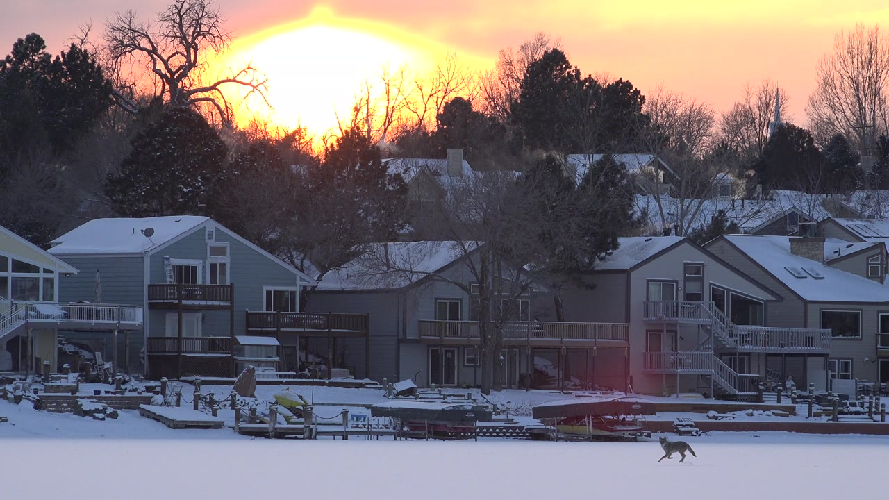 Snow-covered lakeside homes at sunrise with a dog crossing the frozen foreground.