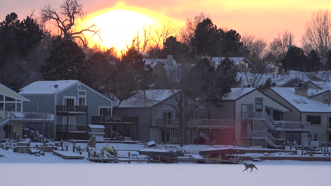 At Hidden Lake, Colorado, the sun glows larger behind the tree line as snow-covered houses and docks sit below and the dog continues across the frozen foreground, with no visible people.