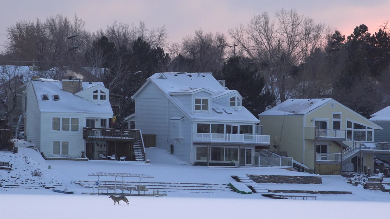 Snowy lakeside homes with a small animal running across the frozen foreground.