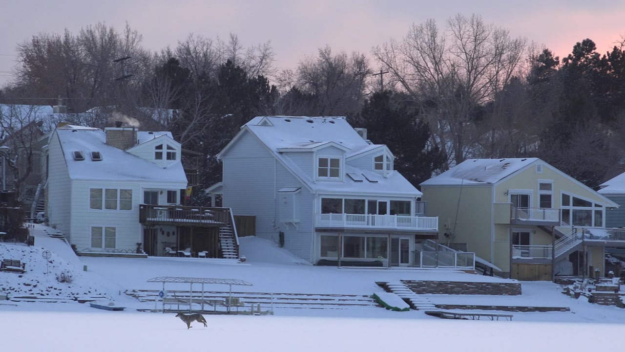 At Hidden Lake, Colorado, the small animal continues across the snow below white waterfront houses and leafless trees, with no visible people.