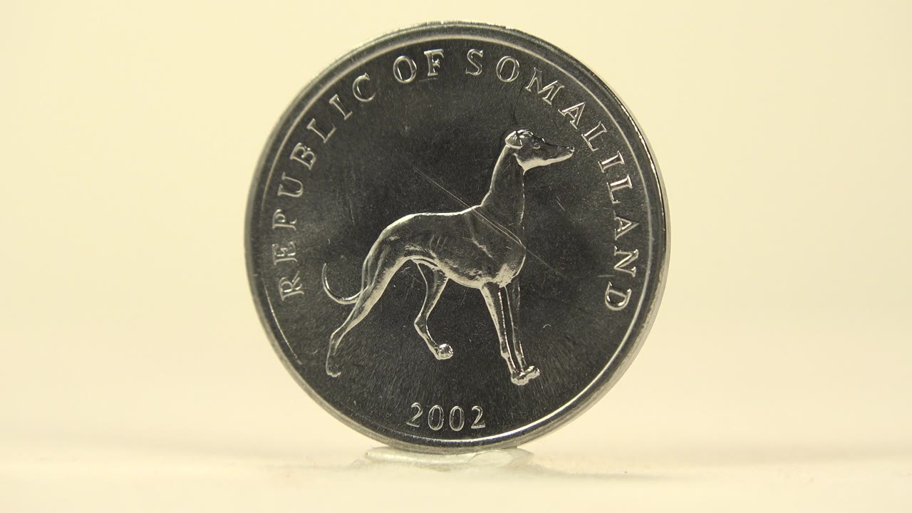 Front view of a silver coin standing upright on a pale tabletop, showing a dog picture and the year 2002, with no visible people.