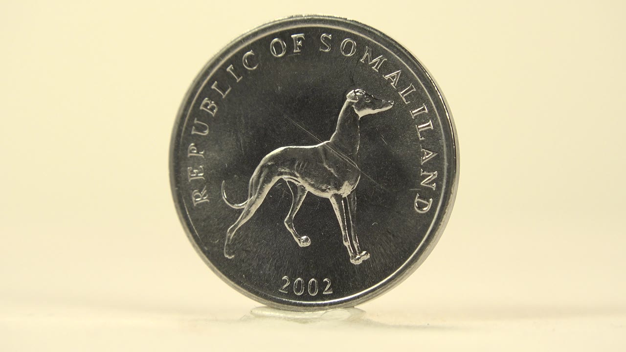 The coin remains nearly front-facing on the tabletop, with the dog image, circular lettering, and soft cream background visible, and no visible people.
