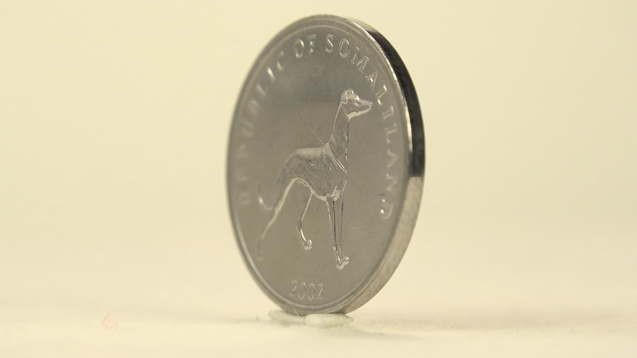 The upright coin turns to a three-quarter angle, still showing the dog side while its thick metal edge catches light, with no visible people.