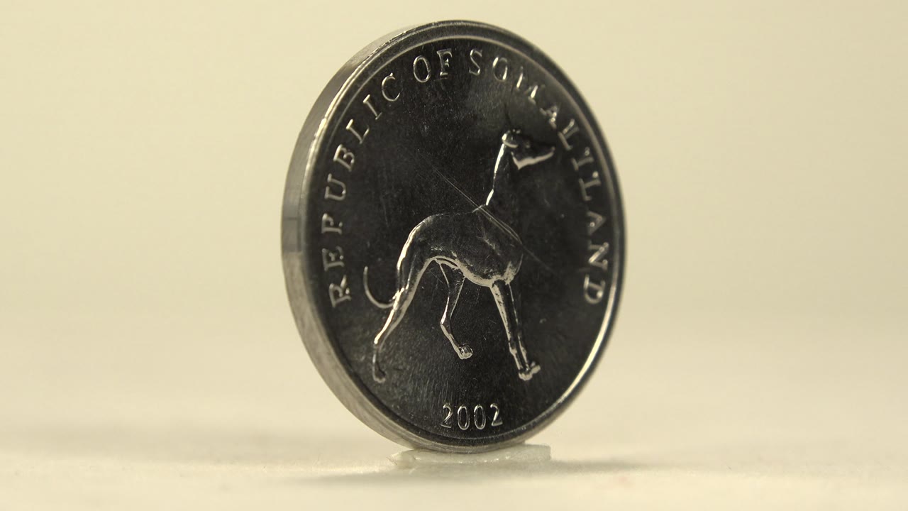 At two seconds, the coin turns toward camera to show a dog engraving, curved Republic of Somaliland lettering, the year 2002, and no visible people.
