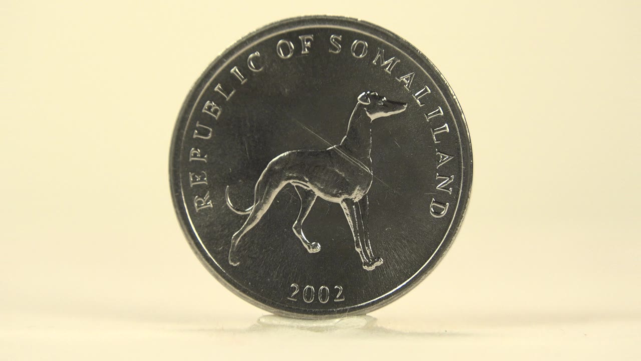 Close view of the dog side of a silver colored coin.