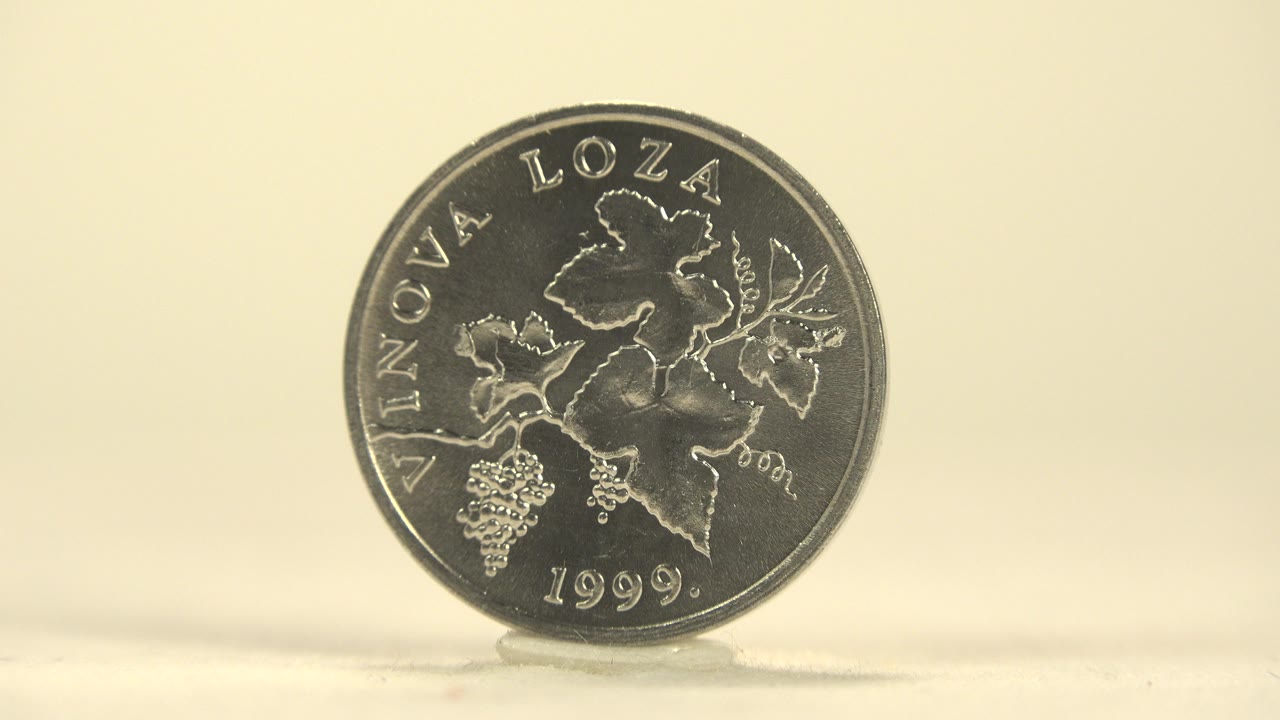 An upright silver coin on a pale surface shows the grape and leaf side with the year 1999 visible against a warm cream background, with no visible people.