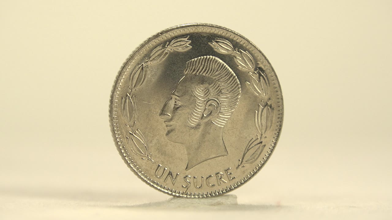 The silver coin turns more front-facing, revealing a left-facing portrait, decorative leaves, partial lettering near the bottom, and no visible people.