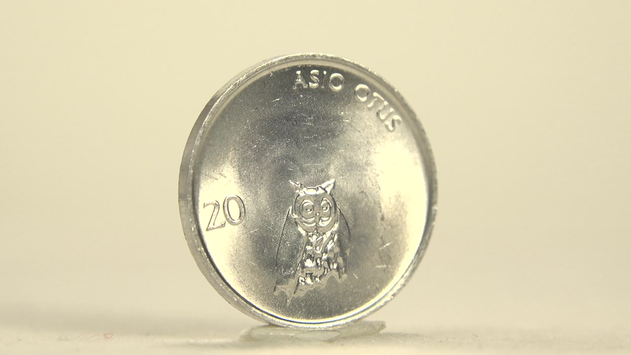 A front-facing view shows the owl design, the number 20, and curved lettering near the coin rim on a pale surface, with no visible people.
