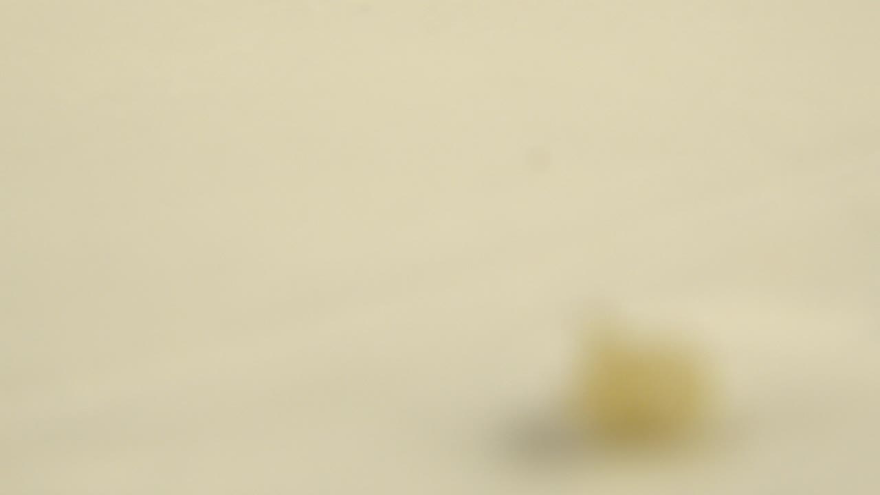A soft yellow form remains out of focus on the pale surface, with empty cream space around it and no visible people.