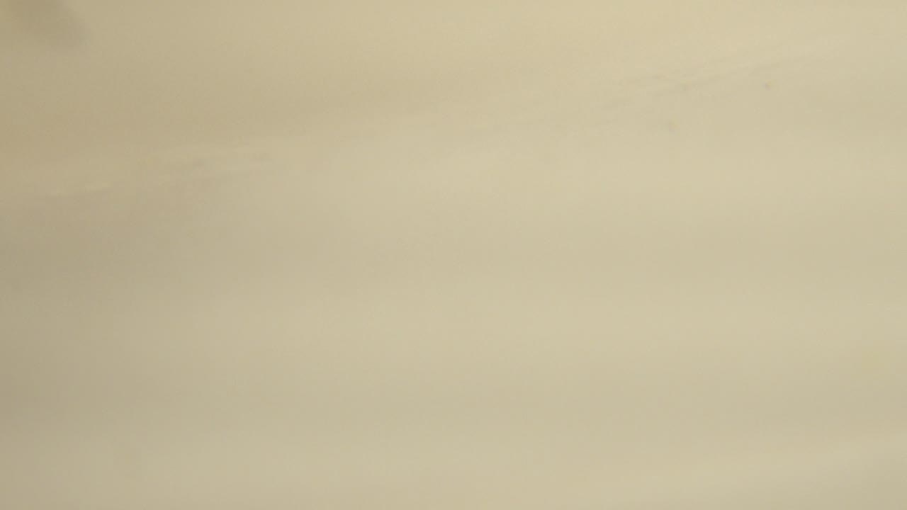 Pale spider on a cream flat surface, slightly soft focus.
