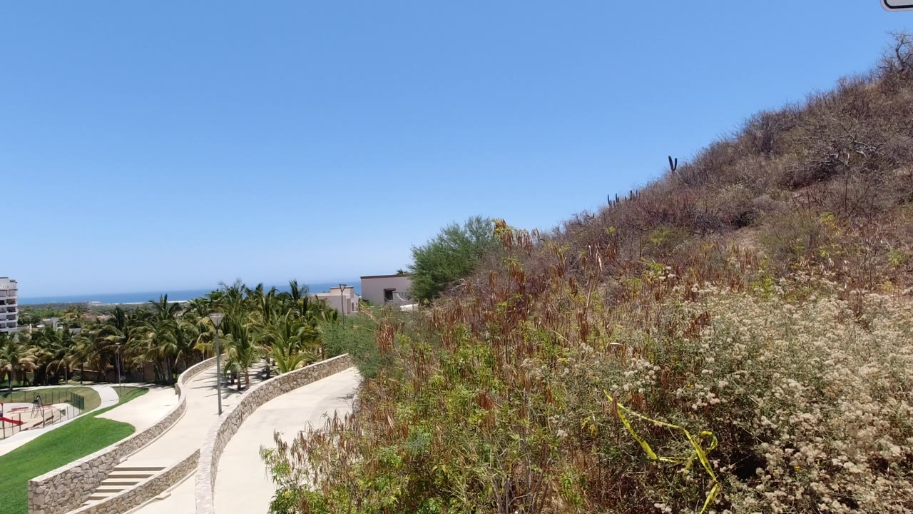Elevated San Jose del Cabo view of a pale curving walkway beside dry hillside brush, with palms, distant buildings, ocean horizon, blue sky, and no visible people.