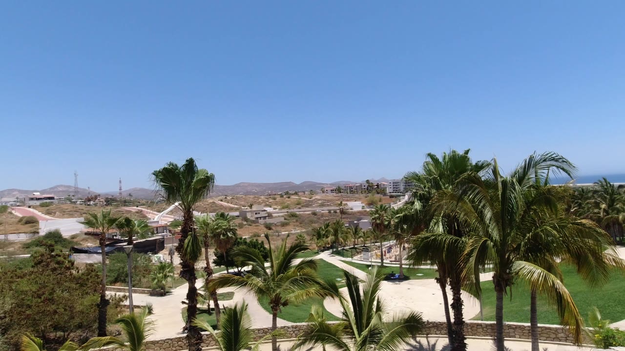 Elevated view in San Jose del Cabo showing tall palms over green landscaping, pale paths, dry hills, low buildings, and no visible people.