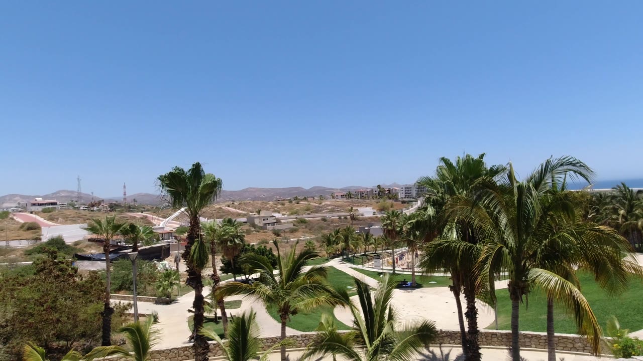 Wide San Jose del Cabo frame with palm fronds in the foreground, green lawn below, dry open land beyond, and no visible people.