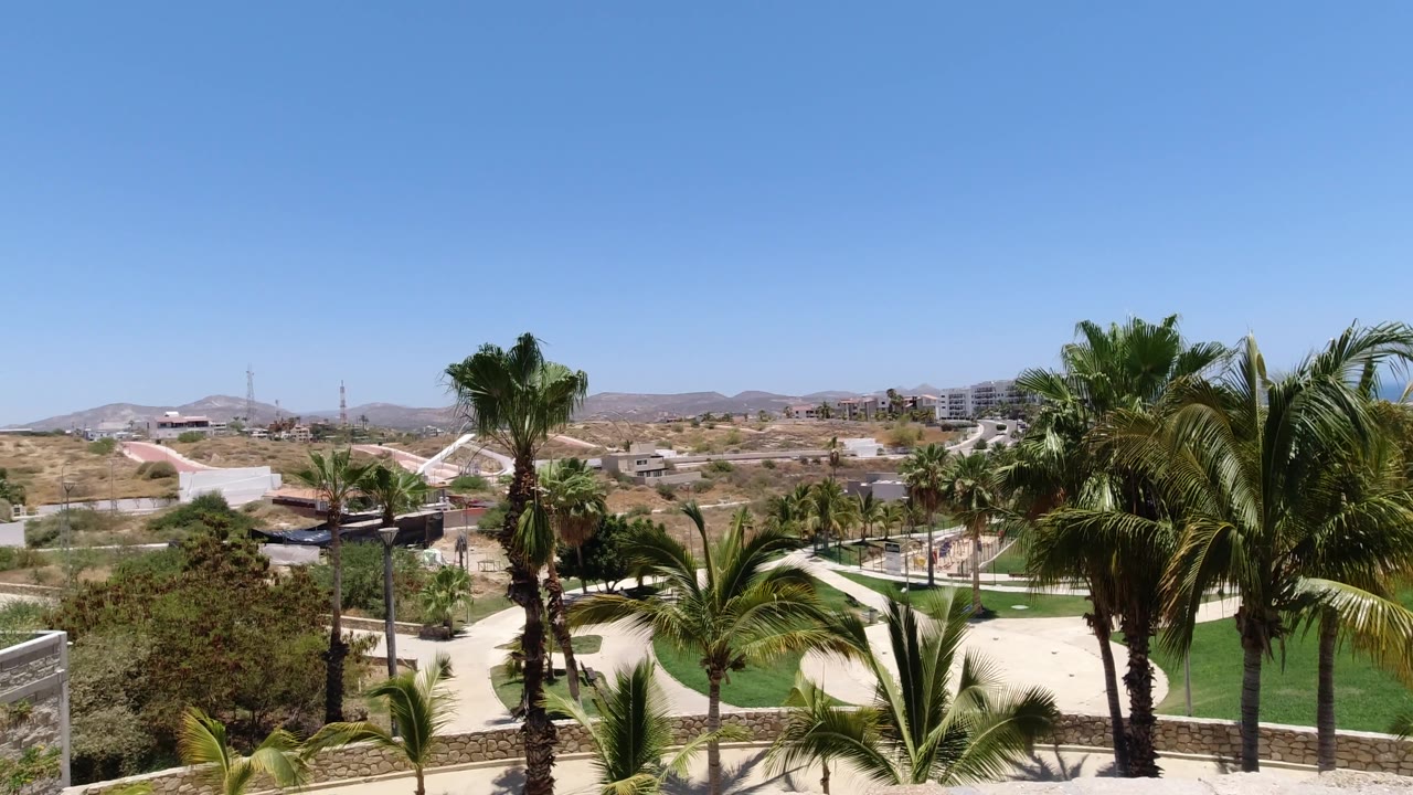 Tall palms and landscaped paths with low buildings and hills beyond.