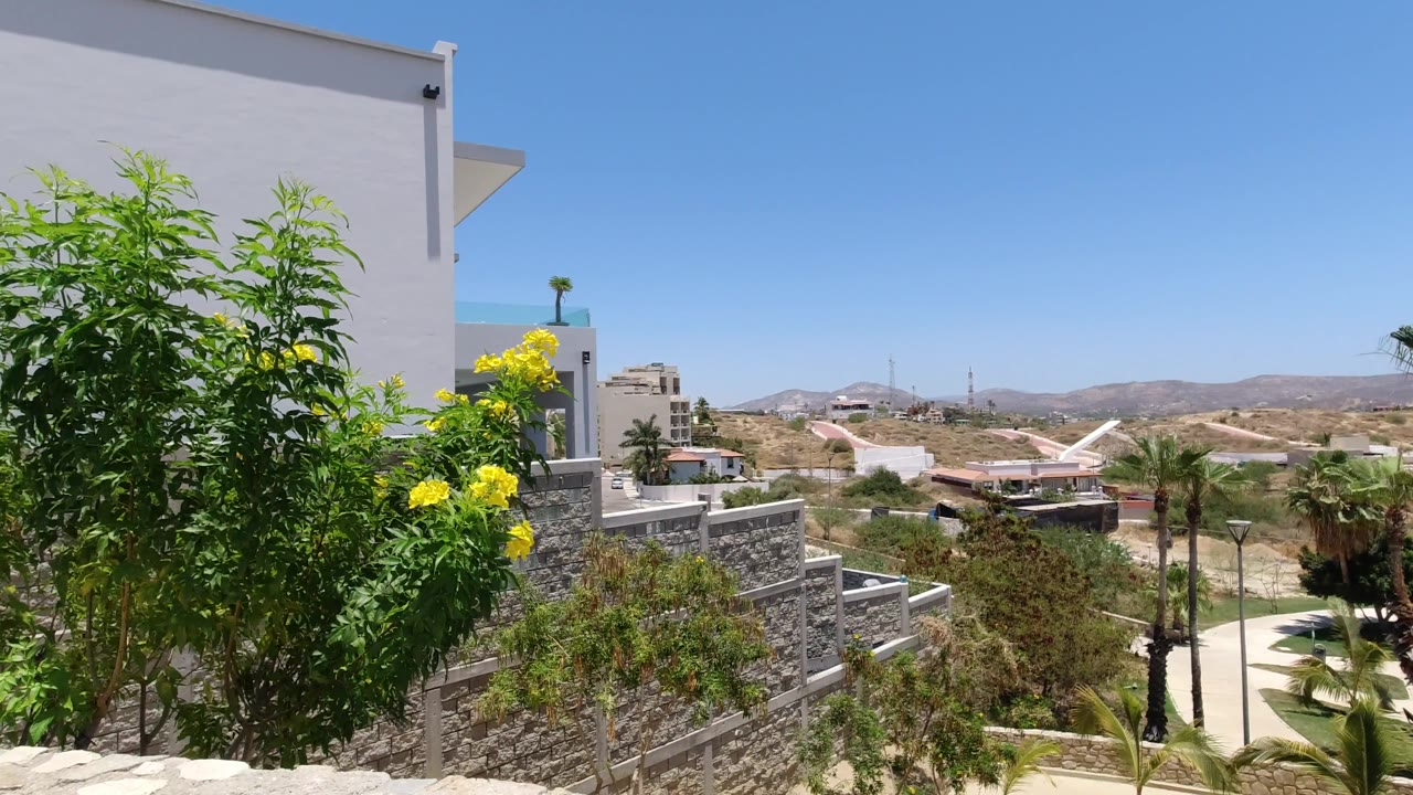 Yellow flowering bush in front of stone walls, white building, palms, and hills.
