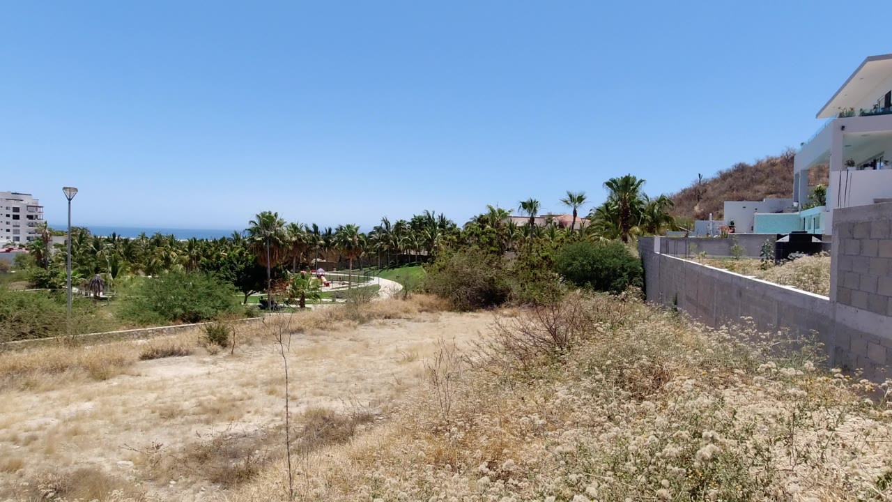 Wide view in San Jose del Cabo showing dry grasses and scrub in front, a gray wall and white building at right, palms across the middle distance, blue sky, distant ocean, and no visible people.