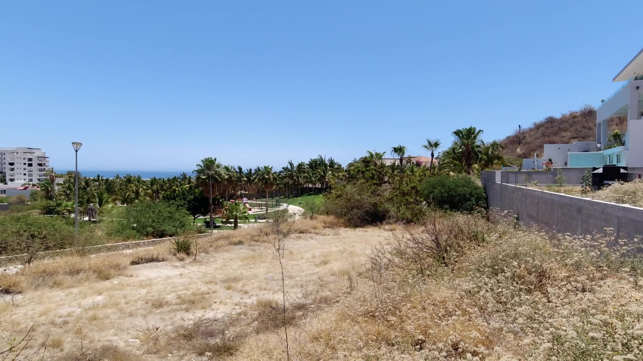 Sunlit scrub field with palms, distant white buildings, hillside, and ocean horizon.