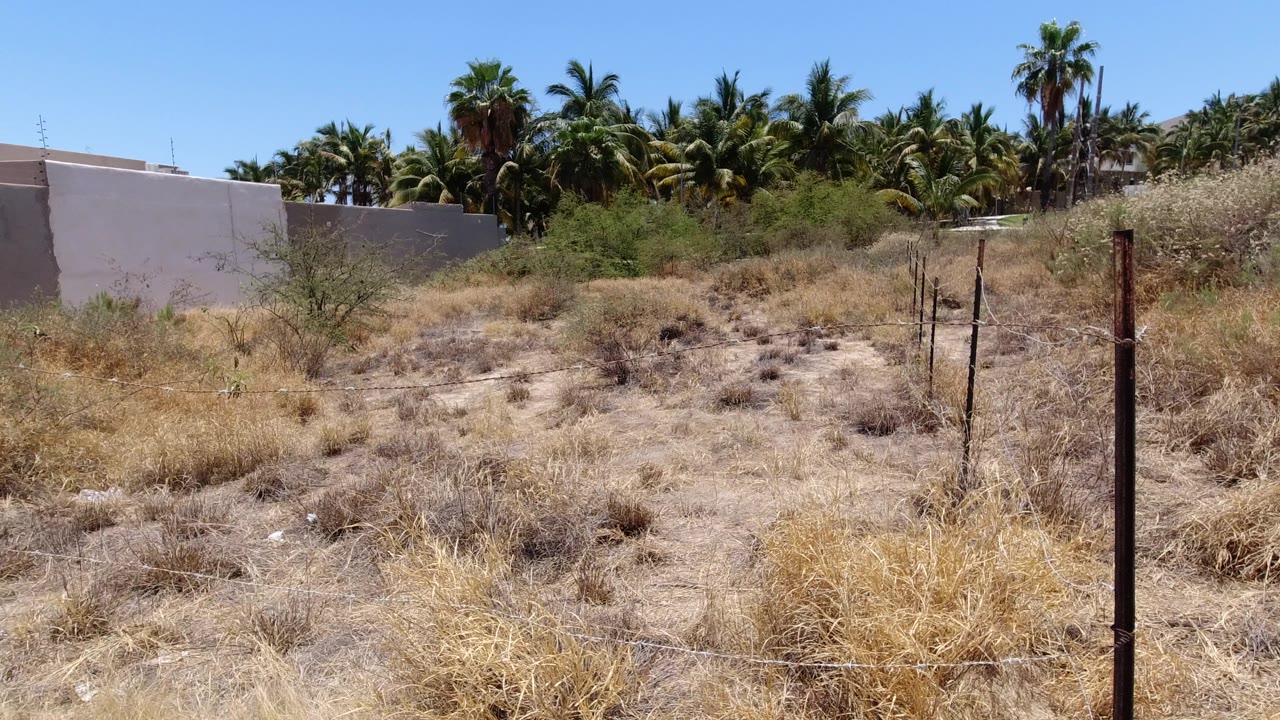 Dry vacant lot with fence posts, walls, and palm trees.