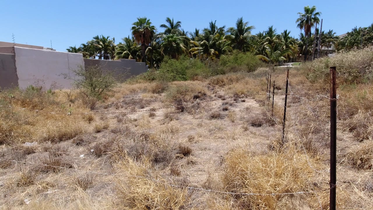 Dry brush and sandy soil fill a vacant San Jose Del Cabo lot, with a white wall, darker fence posts, palms in the background, and no visible people.