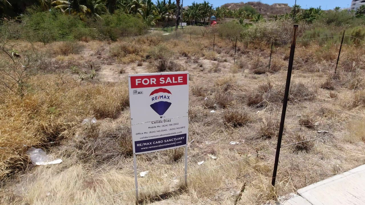 The for-sale sign remains near center in the San Jose del Cabo lot, with dry brush, a dark fence post, palm trees, hills, and no visible people.