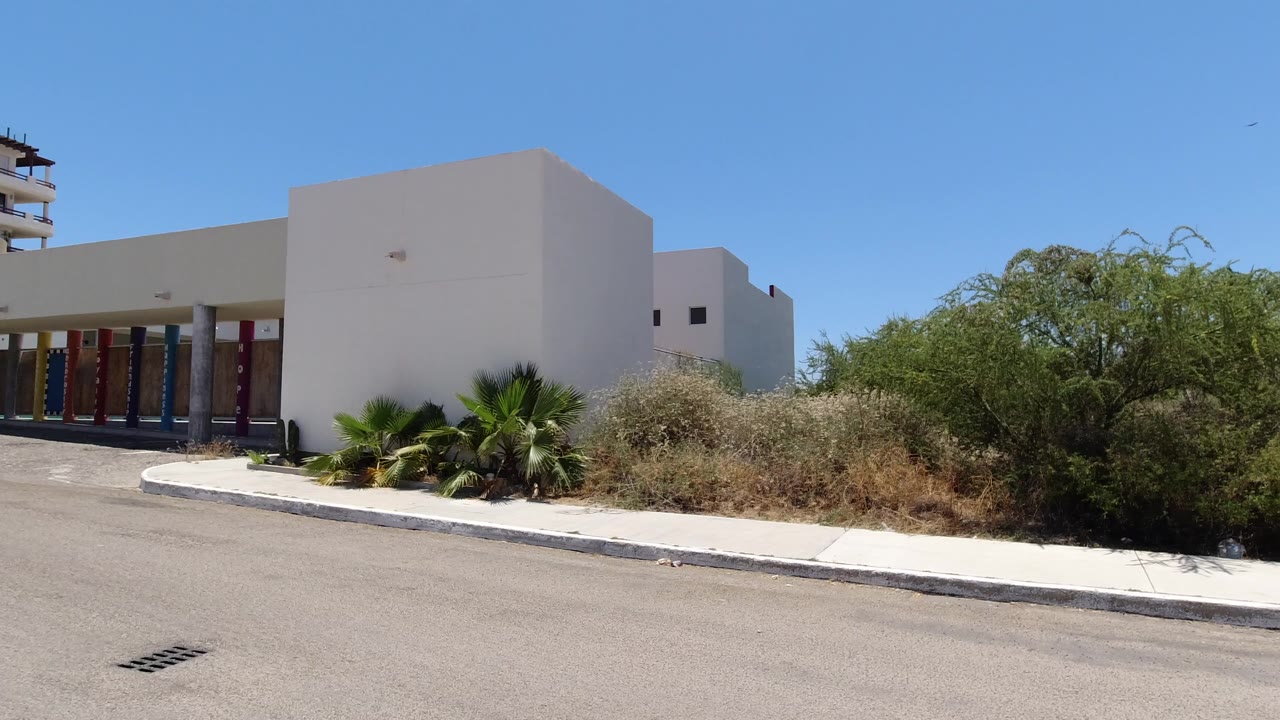 Modern grey building beside palms, shrubs, curb, and road under blue sky.