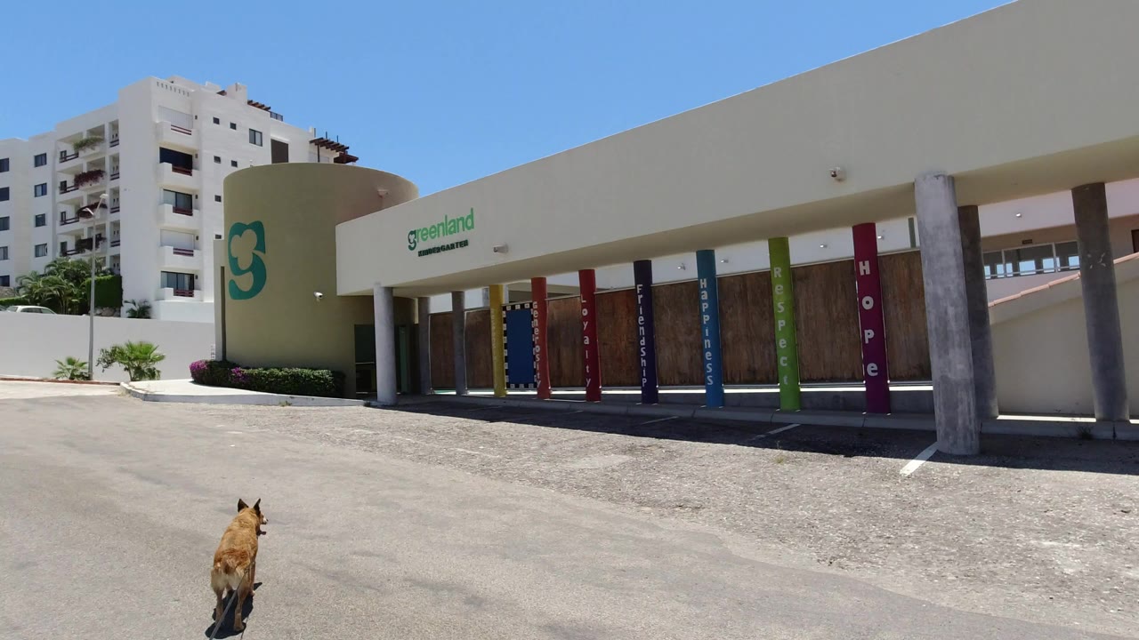A tan dog walks low in the frame across a bright parking lot in San Jose del Cabo, Mexico, with a closed minimarket facade, colorful posts, apartment buildings, and no visible people.