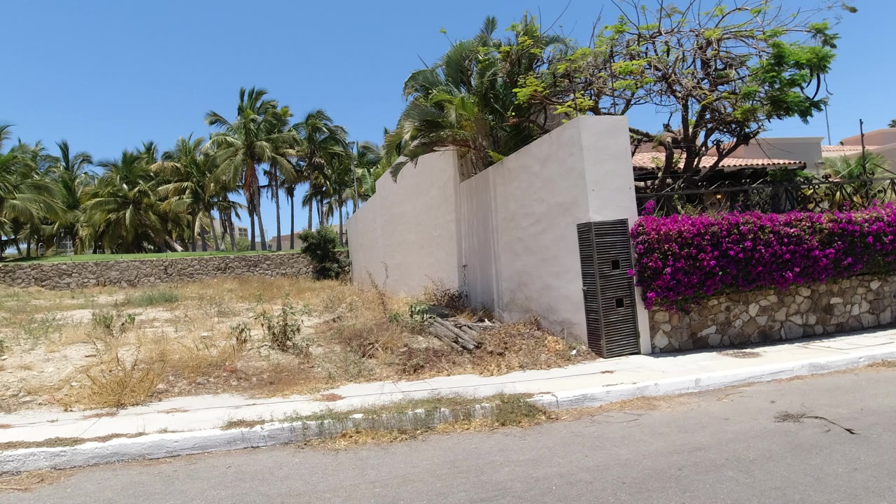 Dry roadside lot beside a stucco wall and palm trees