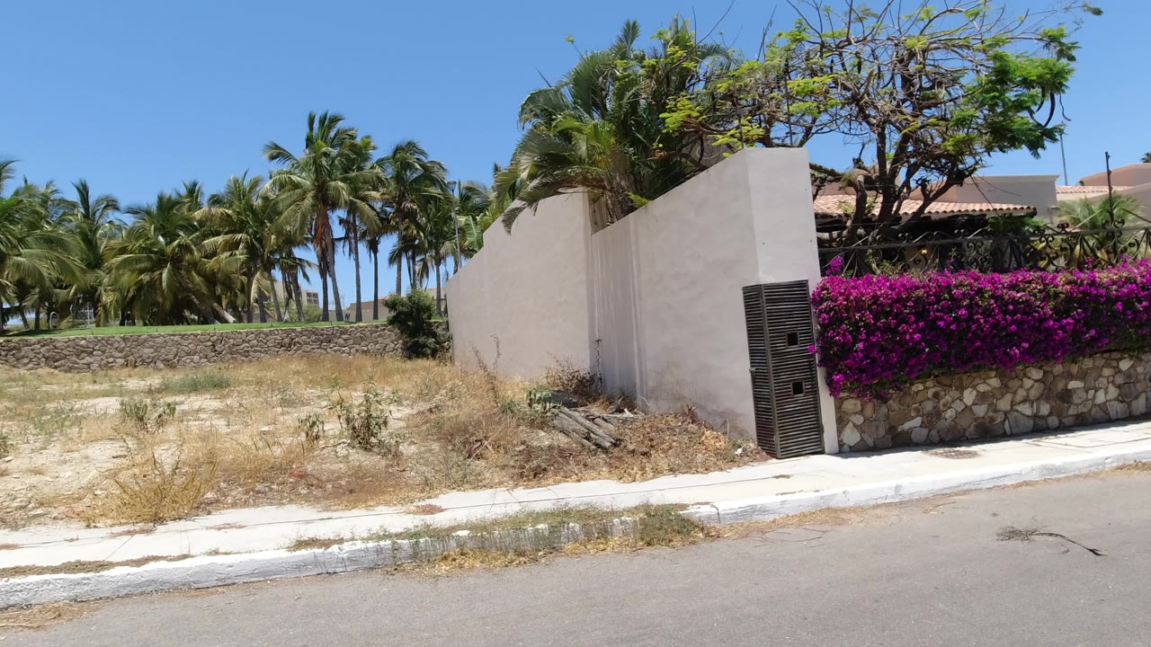 Vacant sandy lot in San Jose del Cabo viewed past the curb, with a beige wall, stone base, bright magenta flowers, palm trees, and no visible people.
