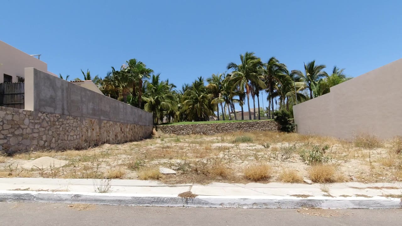 Vacant roadside lot between residential walls and palm trees.