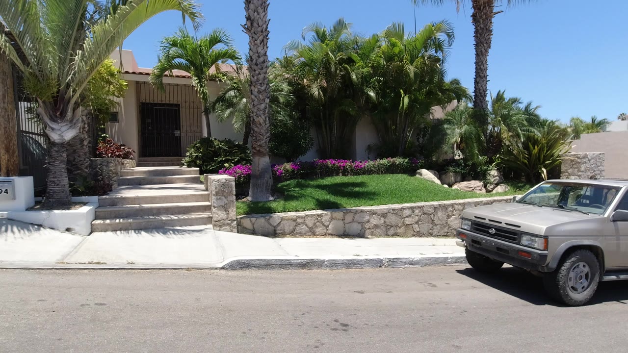 Palm-lined residential frontage with parked vehicle at the curb