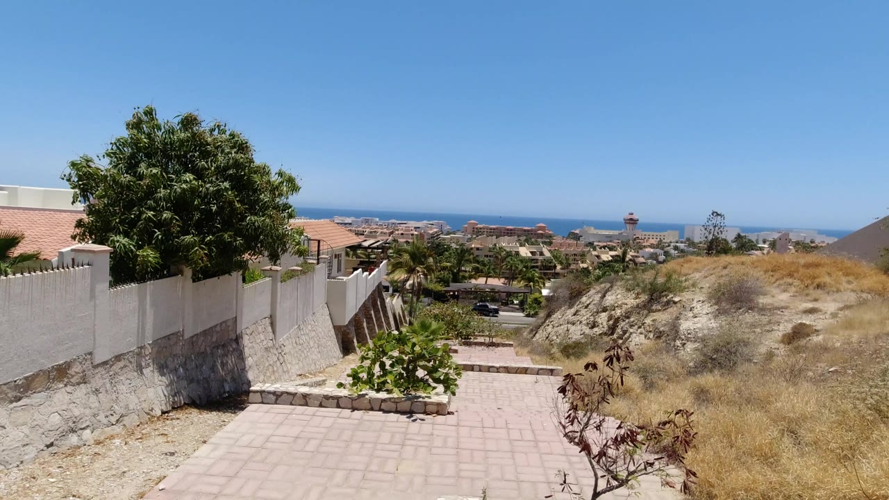 San Jose Del Cabo hillside view with a large green tree over white walls, a paved path descending toward houses, dry brush to the right, ocean beyond the town, and no visible people.