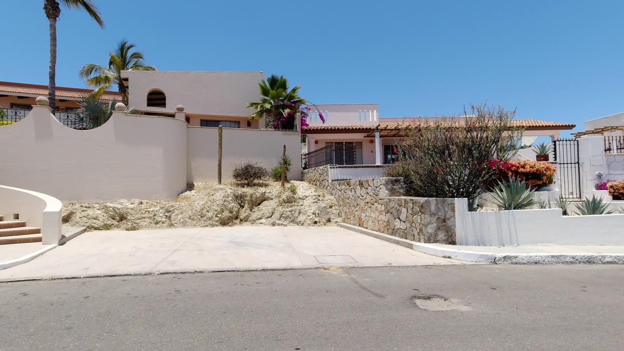 San Jose del Cabo home exterior with a curved cream boundary wall, tall palm trees, stone planter bed, and no visible people.