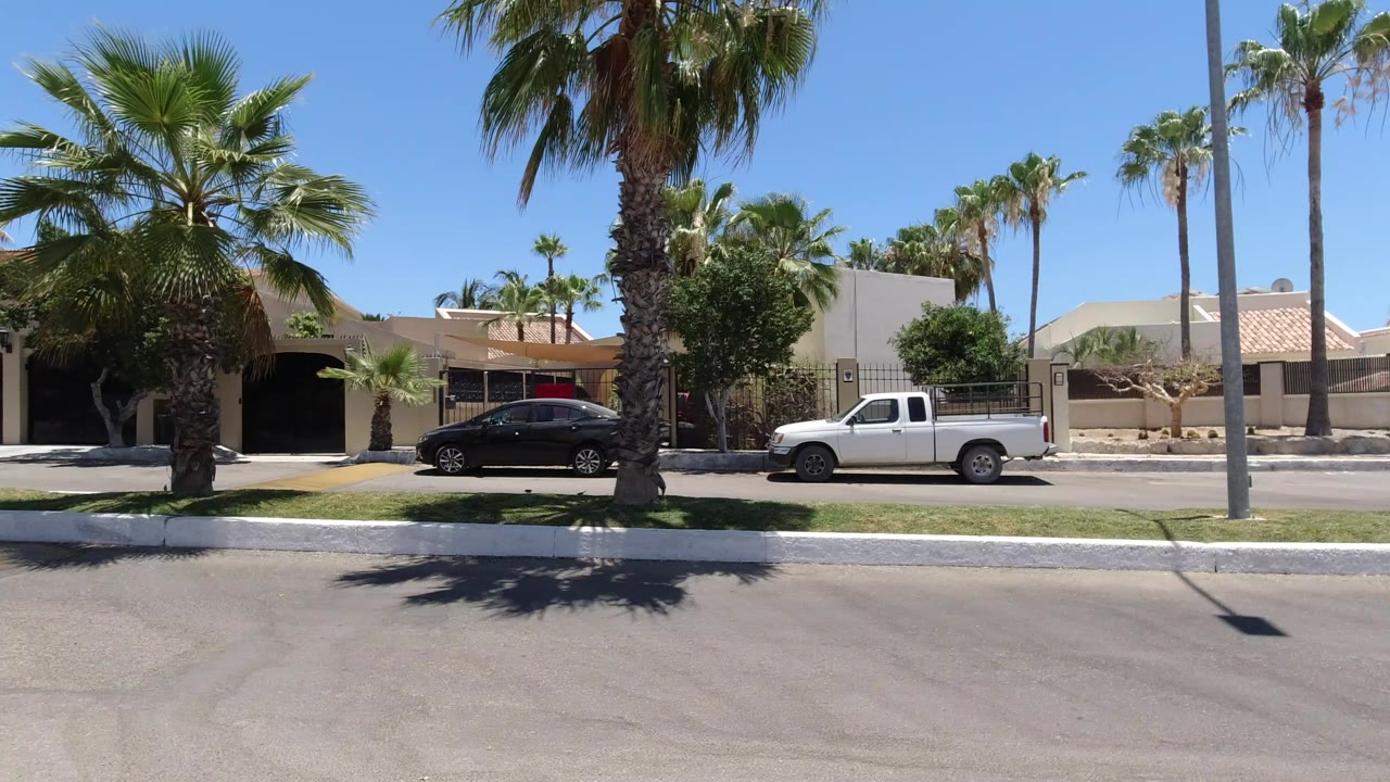 Palm-lined residential road with black car and white pickup