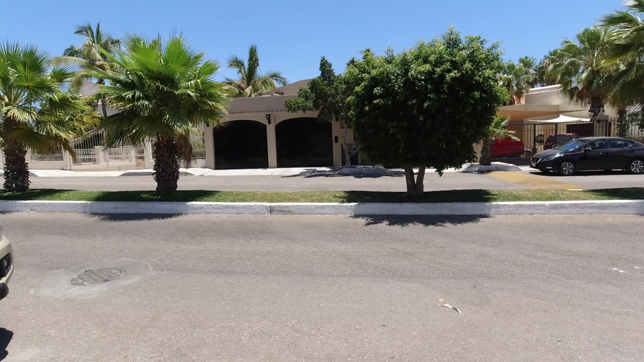 Sunny residential street with palm trees, homes, and parked cars
