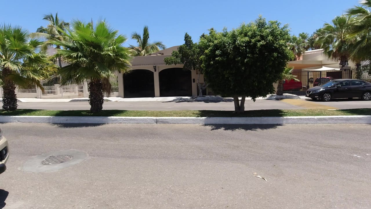 San Jose del Cabo street scene with a broad road in front, palms and a leafy tree along the opposite curb, residential buildings, a dark parked car, and no visible people.