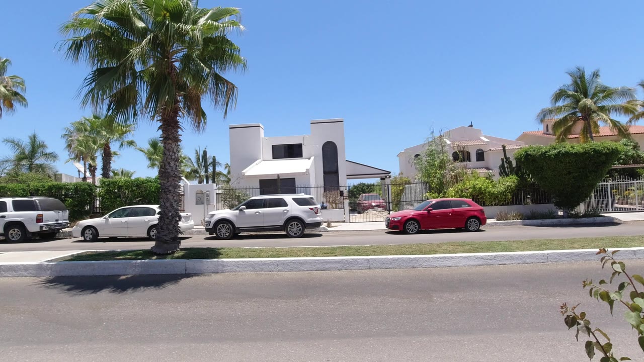 Palm-lined divided street with parked vehicles and white residences.
