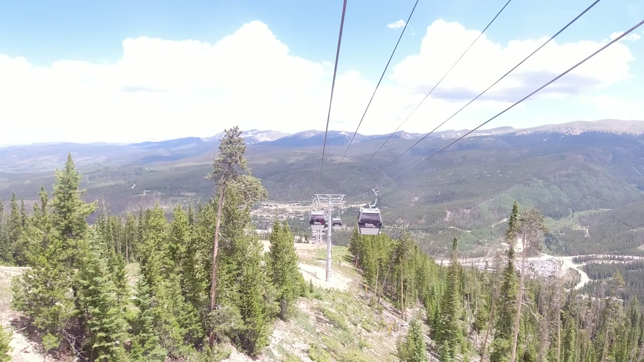 Gondola cables over evergreen trees and distant mountains.