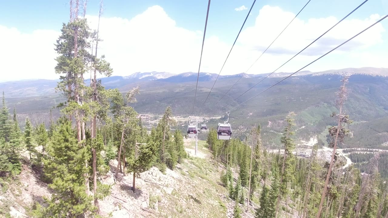Gondola cables over evergreen trees and distant mountains.