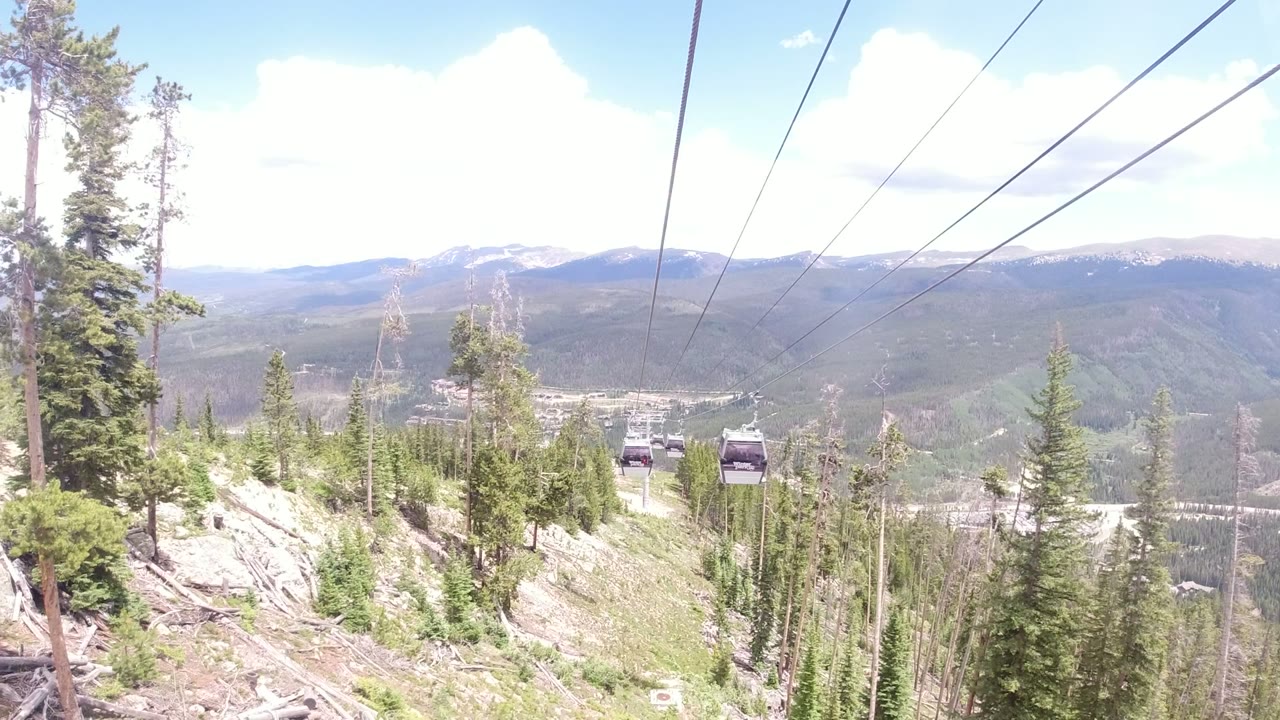 Gondola cables above evergreen trees and distant mountains.