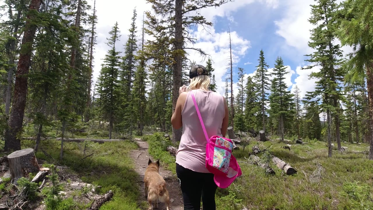 Woman and tan dog walking away on a forest trail.