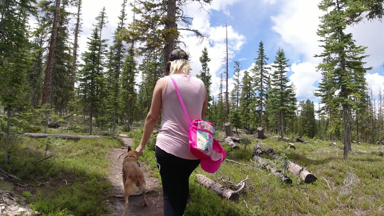 In Winter Park, Colorado, the woman and tan dog continue along the trail, with the dog's body more centered and downed logs crossing the forest floor ahead.