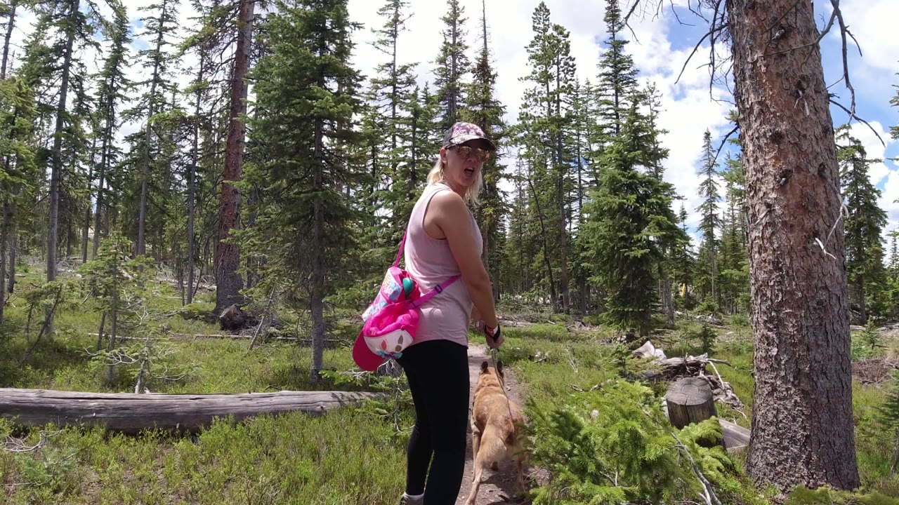 Woman with a bright pink bag walking a tan dog on a forest trail.