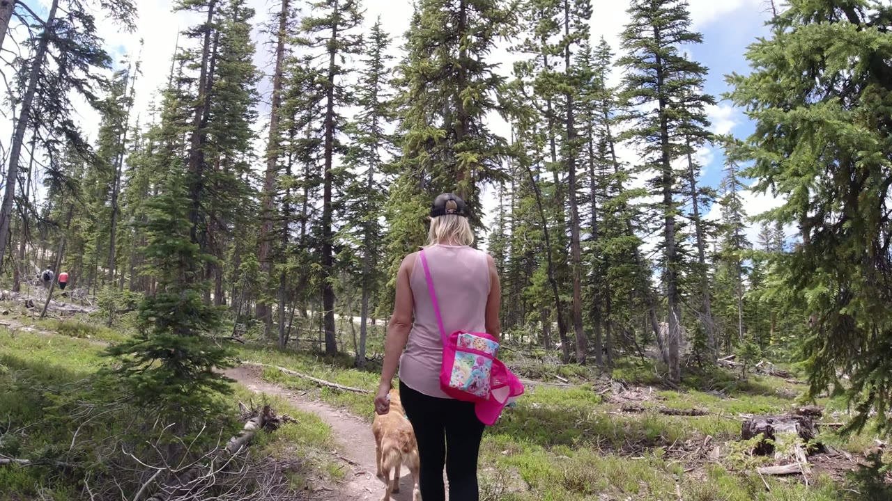 Woman walking a dog on a dirt trail through evergreen trees.