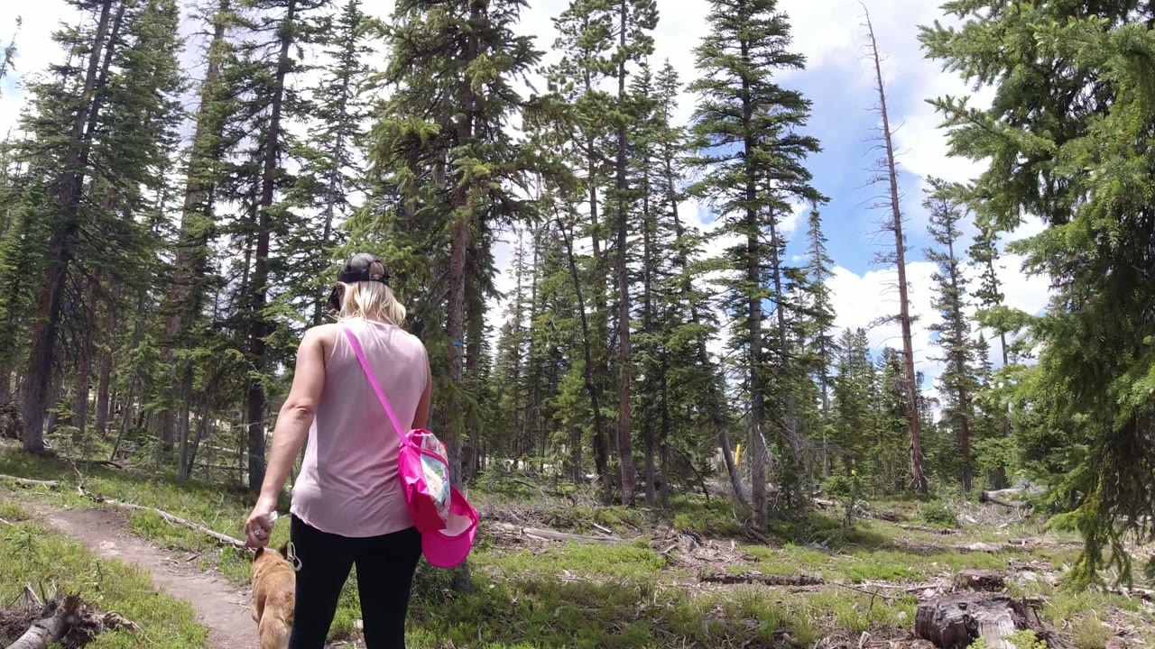 The woman and dog continue along the narrow dirt path in Winter Park, Colorado, with the pink bag centered against her back and scattered branches beside the trail.