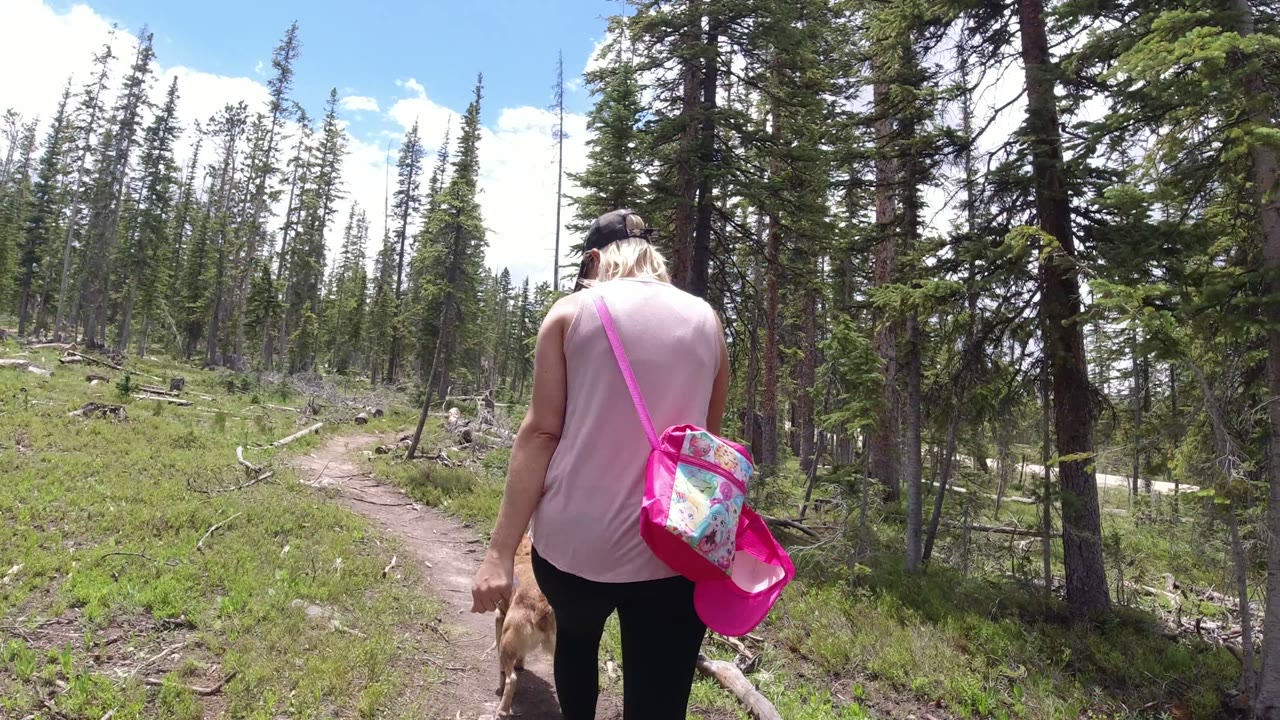 Woman walking a dog on a wooded dirt path.