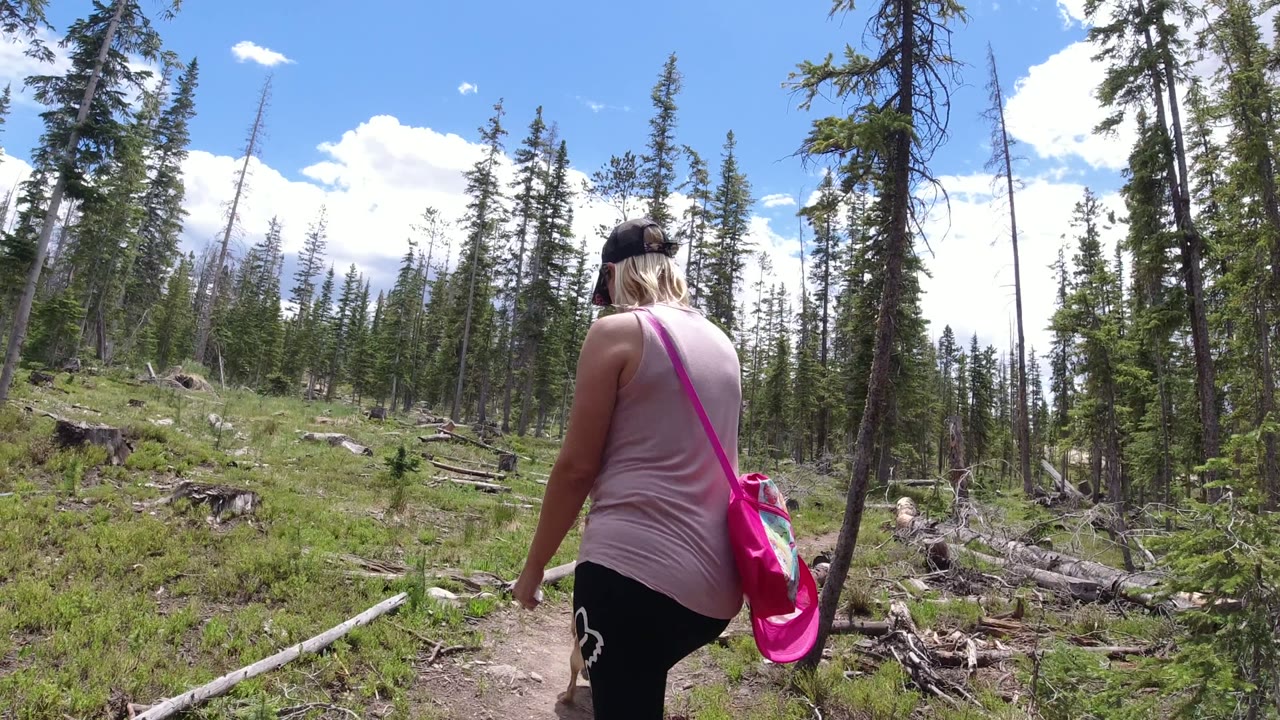 Woman walking away on a forest trail with a pink bag over her shoulder.