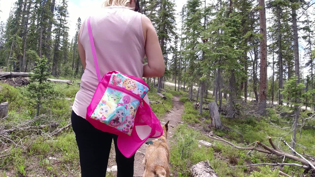 In Winter Park, Colorado, a woman seen from behind walks a tan dog along a narrow dirt trail bordered by green ground cover and evergreen trees.