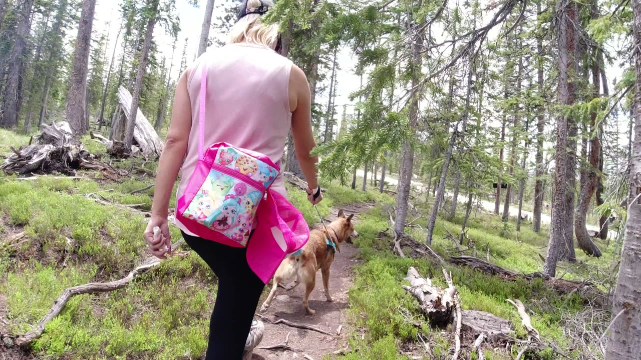 Woman walking a German Shepherd on a wooded dirt trail.