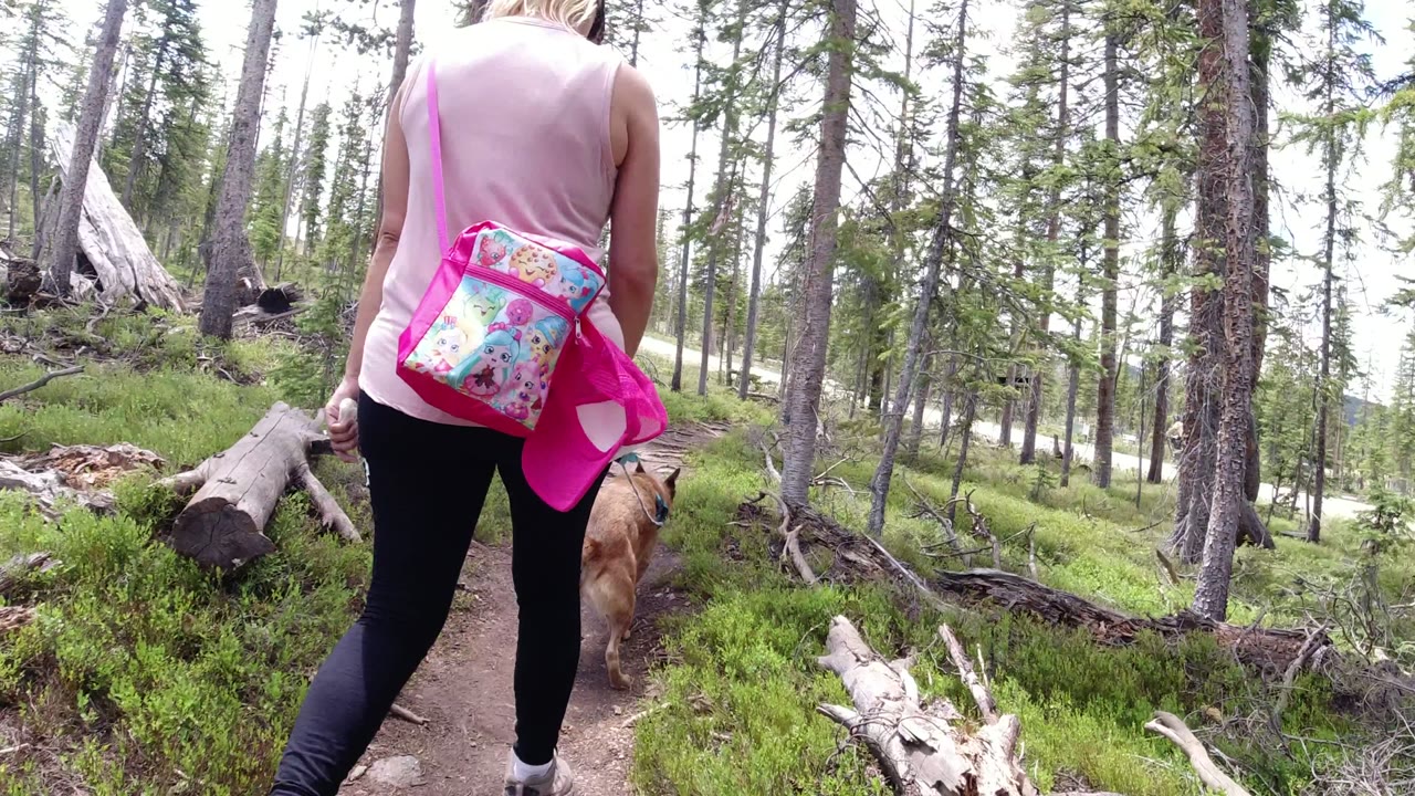 In Winter Park, Colorado, the woman moves farther along the dirt path as the German Shepherd walks ahead between pine trunks and low green brush.